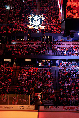 100426_ANAHEIM_DUCKS_RMR16264