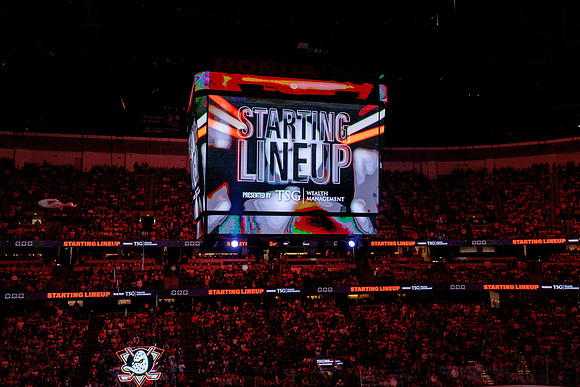 100426_ANAHEIM_DUCKS_RMR16611