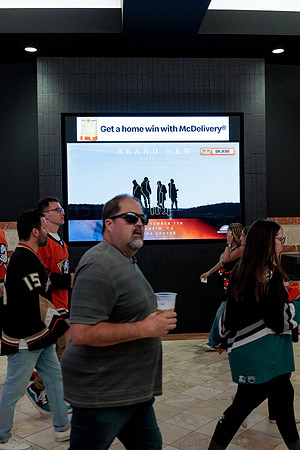 100426_ANAHEIM_DUCKS_RMR14594