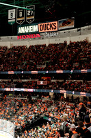 100426_ANAHEIM_DUCKS_RMR17774