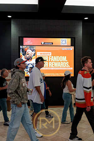 100426_ANAHEIM_DUCKS_RMR12243