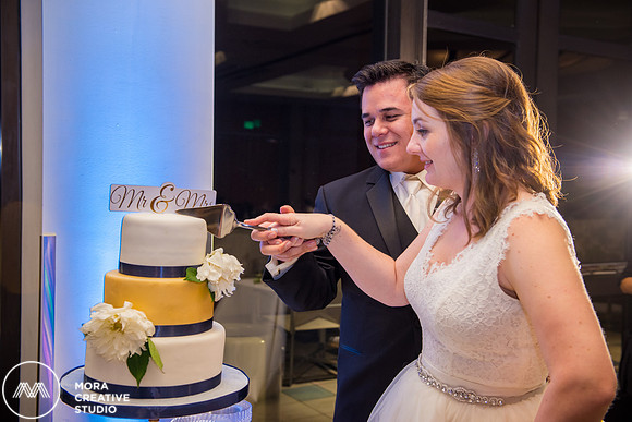 WEDDING_111415_01736