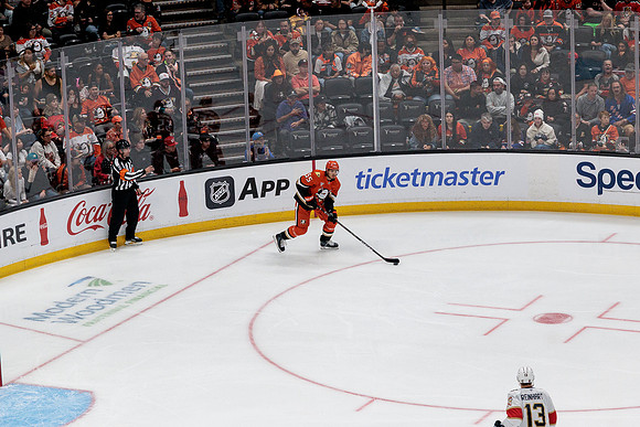 100426_ANAHEIM_DUCKS_RMR17510