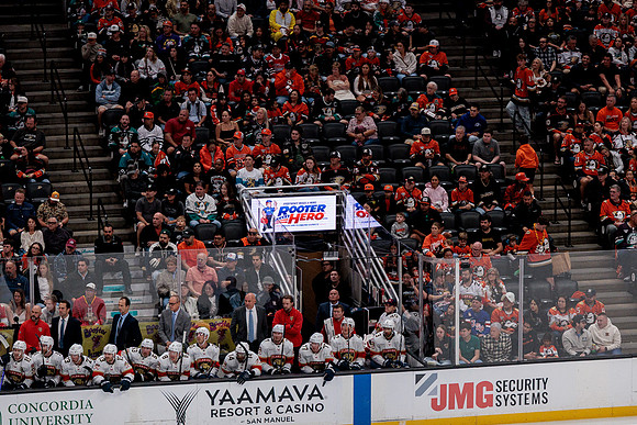 100426_ANAHEIM_DUCKS_RMR10129