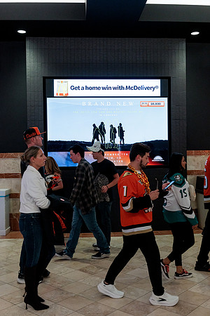 100426_ANAHEIM_DUCKS_RMR14642
