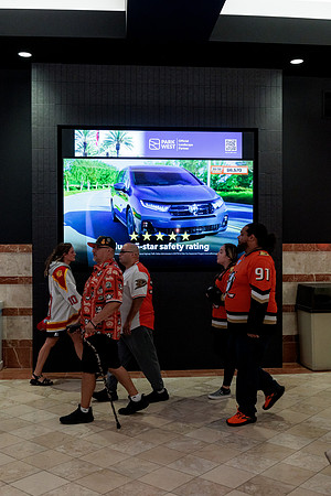 100426_ANAHEIM_DUCKS_RMR13543