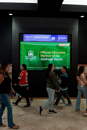 100426_ANAHEIM_DUCKS_RMR14568