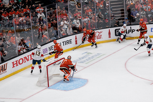 100426_ANAHEIM_DUCKS_RMR10055
