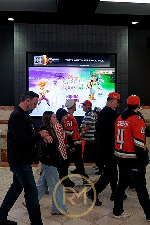 100426_ANAHEIM_DUCKS_RMR12004