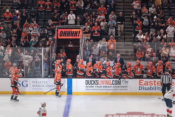 100426_ANAHEIM_DUCKS_RMR11105
