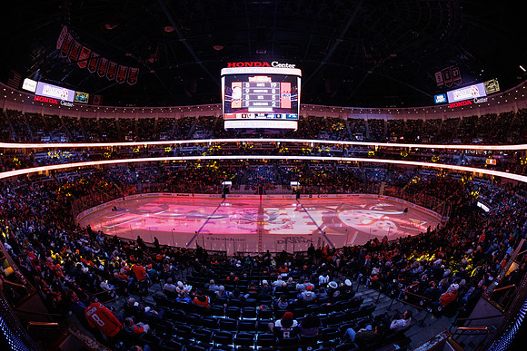 031125_ANAHEIM_DUCKS_0240