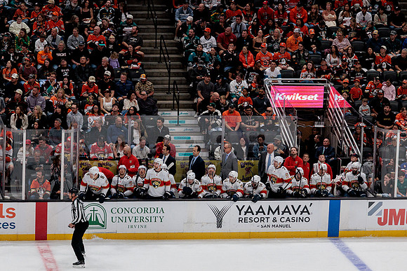 100426_ANAHEIM_DUCKS_RMR17545