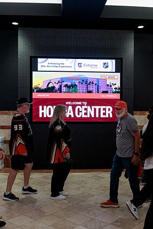 100426_ANAHEIM_DUCKS_RMR13343