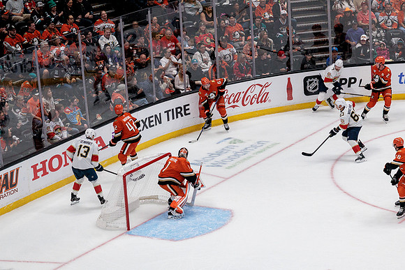 100426_ANAHEIM_DUCKS_RMR10065