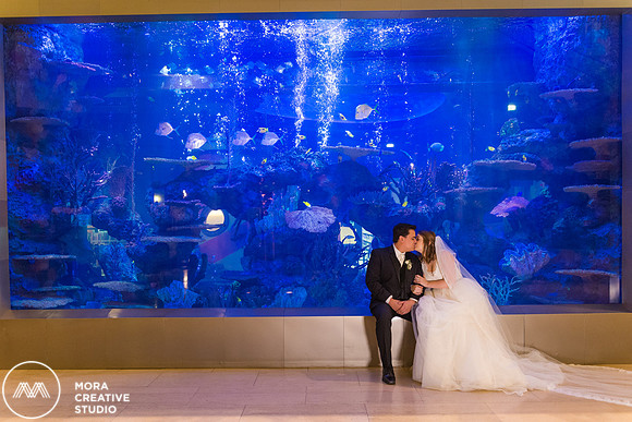 WEDDING_111415_01209