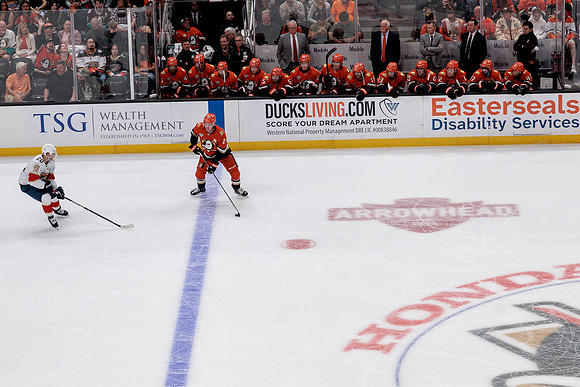 100426_ANAHEIM_DUCKS_RMR19603