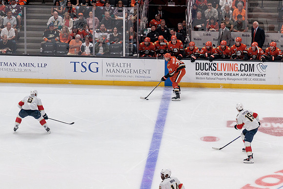 100426_ANAHEIM_DUCKS_RMR11487