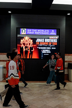 100426_ANAHEIM_DUCKS_RMR14915