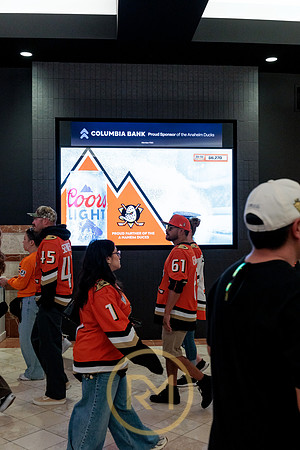 100426_ANAHEIM_DUCKS_RMR12104