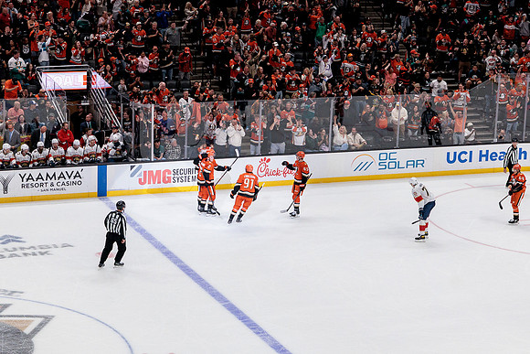 100426_ANAHEIM_DUCKS_RMR19868