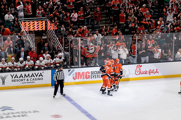 100426_ANAHEIM_DUCKS_RMR19888