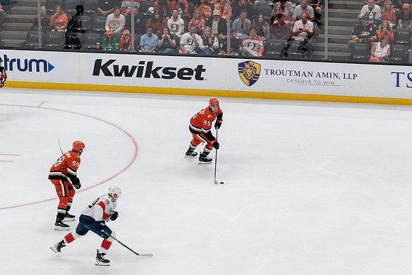 100426_ANAHEIM_DUCKS_RMR17632