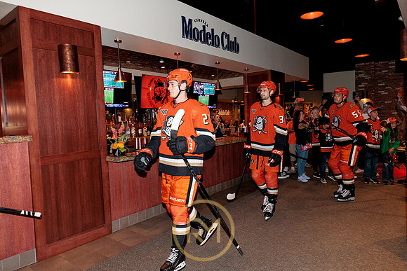 100426_ANAHEIM_DUCKS_RMR15165