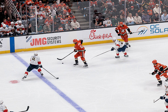100426_ANAHEIM_DUCKS_RMR12127