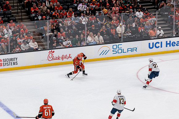 100426_ANAHEIM_DUCKS_RMR19032