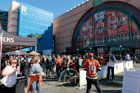 100426_ANAHEIM_DUCKS_RMR11362