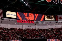 100426_ANAHEIM_DUCKS_RMR17857