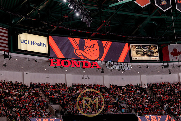 100426_ANAHEIM_DUCKS_RMR17857