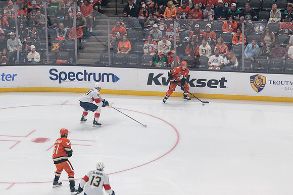 100426_ANAHEIM_DUCKS_RMR10931