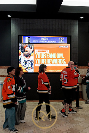 100426_ANAHEIM_DUCKS_RMR12293