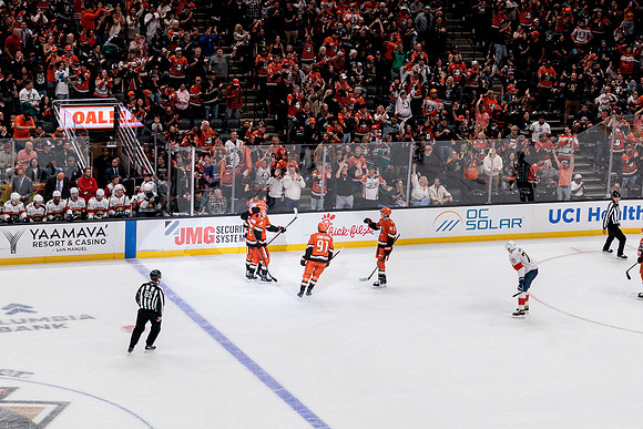 100426_ANAHEIM_DUCKS_RMR19865
