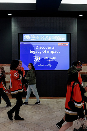 100426_ANAHEIM_DUCKS_RMR13999