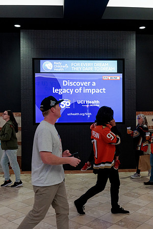 100426_ANAHEIM_DUCKS_RMR14014