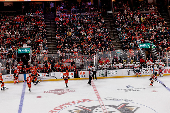100426_ANAHEIM_DUCKS_RMR19482