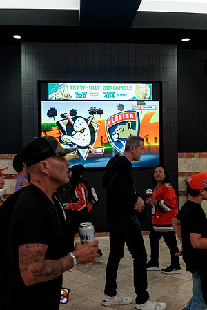 100426_ANAHEIM_DUCKS_RMR12558