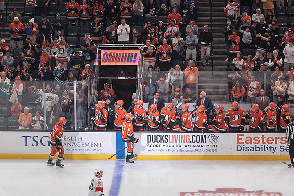 100426_ANAHEIM_DUCKS_RMR11111