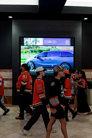 100426_ANAHEIM_DUCKS_RMR13562