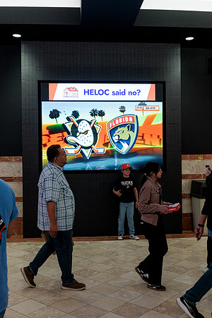 100426_ANAHEIM_DUCKS_RMR12606