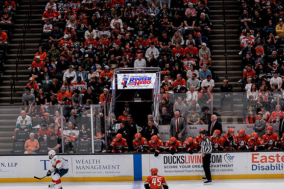 100426_ANAHEIM_DUCKS_RMR10099
