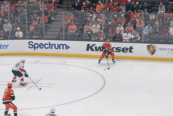 100426_ANAHEIM_DUCKS_RMR10918