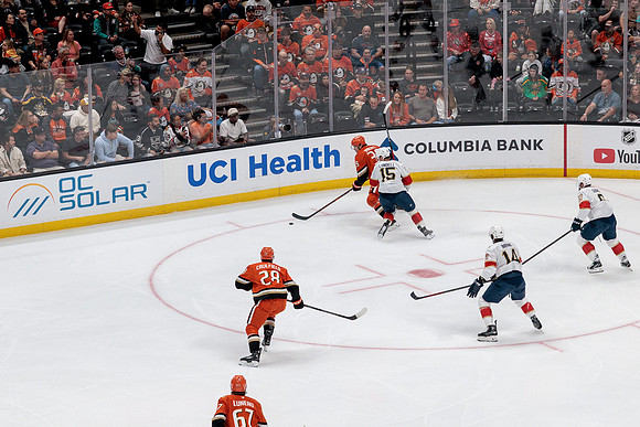 100426_ANAHEIM_DUCKS_RMR17694