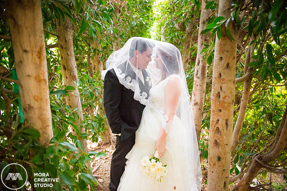 WEDDING_111415_01121