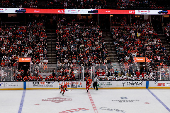 100426_ANAHEIM_DUCKS_RMR18928