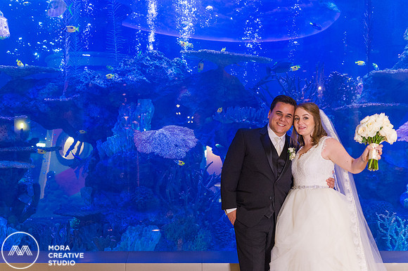 WEDDING_111415_01217