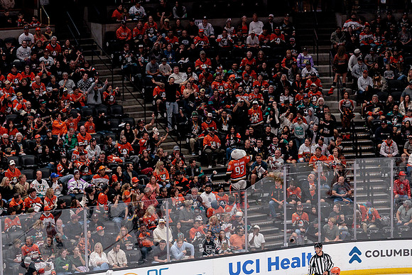 100426_ANAHEIM_DUCKS_RMR12200