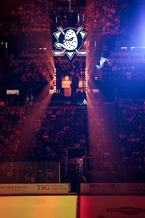 100426_ANAHEIM_DUCKS_RMR16319
